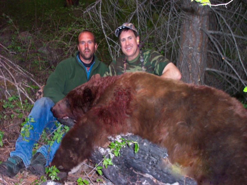 Idaho Bear hunting