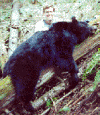 Idaho Bear Hunting 