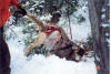 Fresh Lion Kill